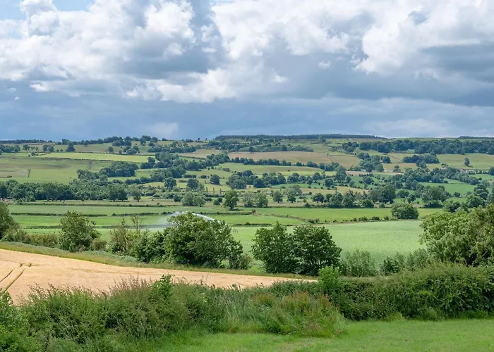 Dexter * Ravensworth